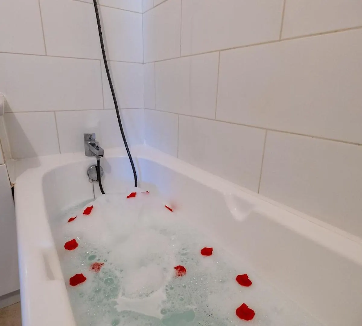 Appartement Avec Terrasse Proche Metro, Stadium,4 Pers 툴루즈 아파트