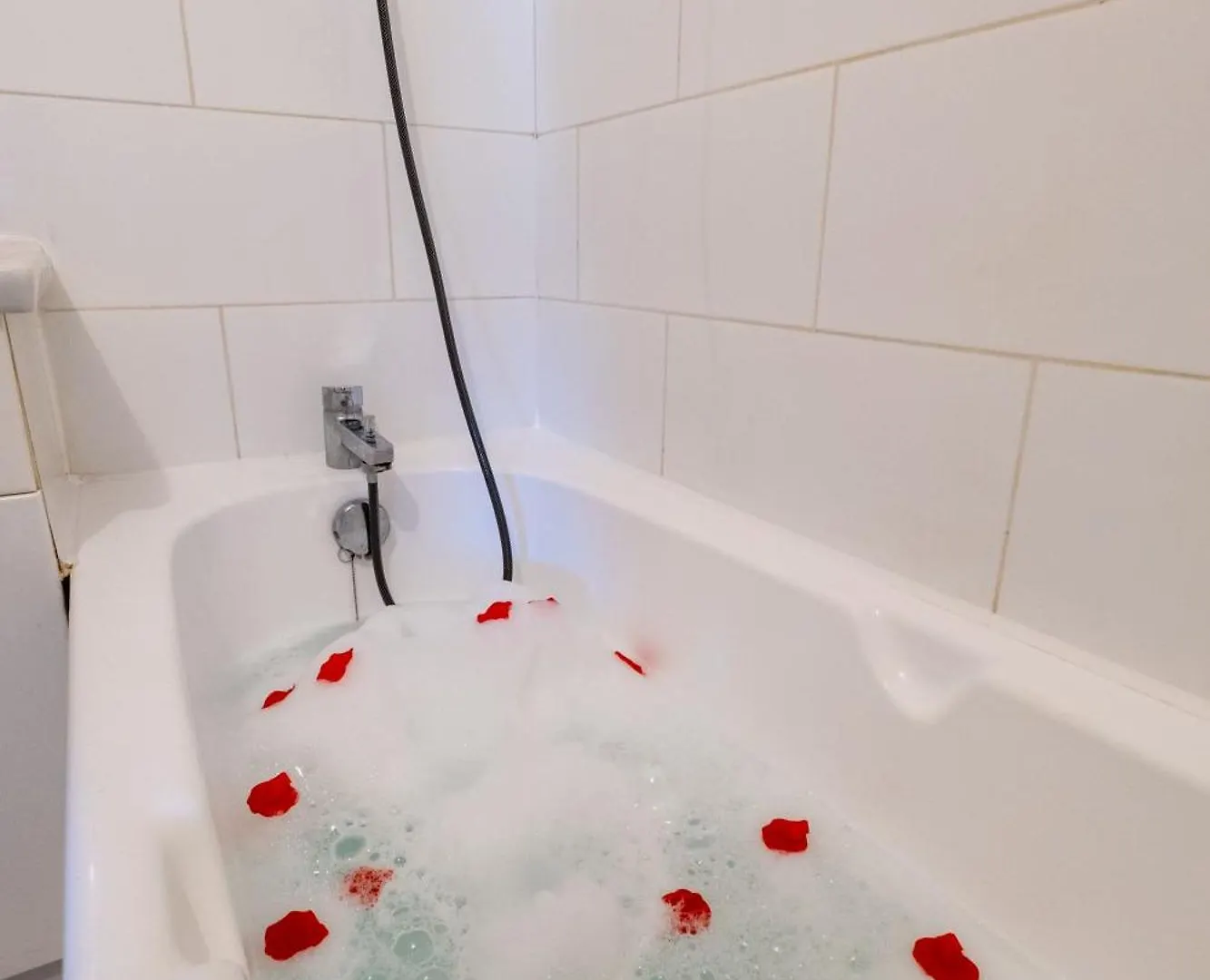 Appartement Avec Terrasse Proche Metro, Stadium,4 Pers 툴루즈 0*,  프랑스